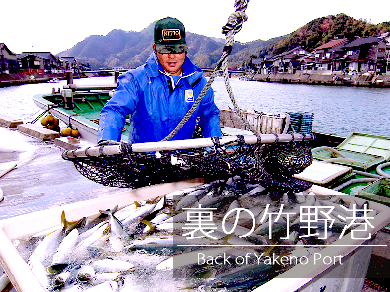 竹野港1
