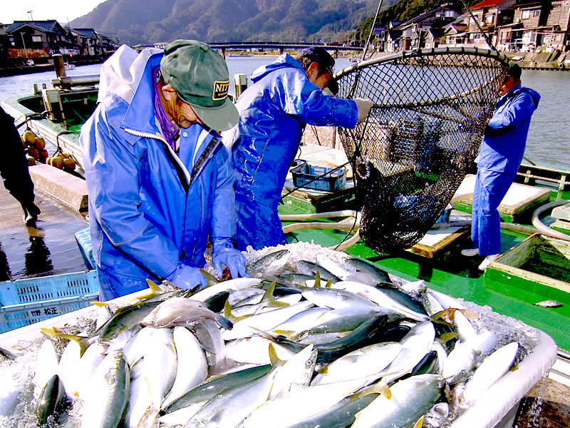 竹野港2