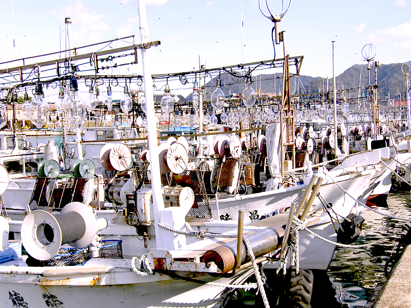 竹野港9
